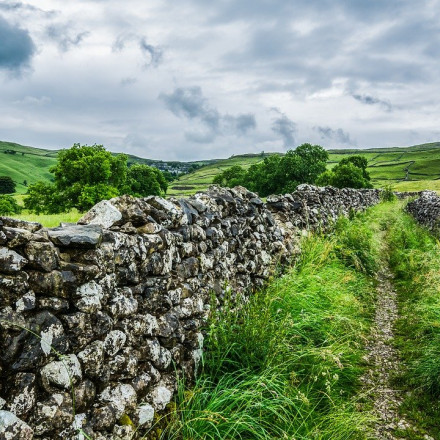19 Best Dog Friendly Hotels in Yorkshire