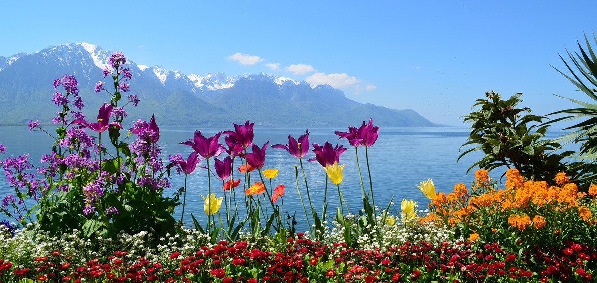 Photo of Lake Geneva