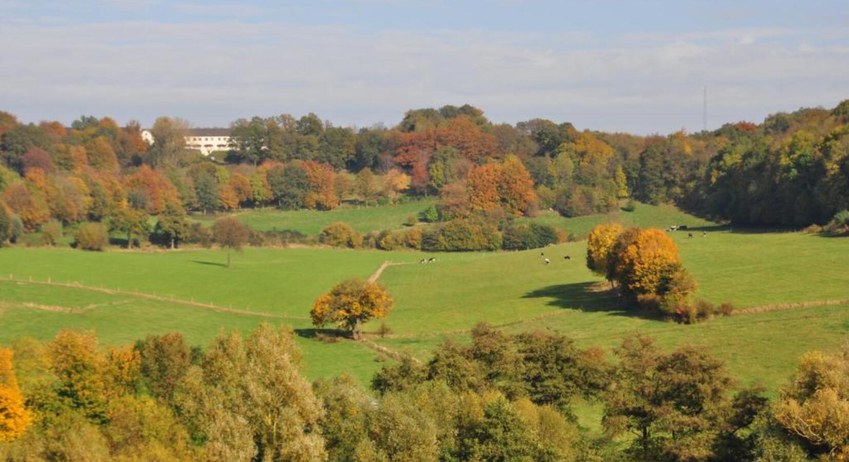 Surroundings