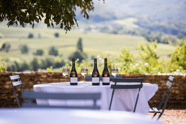 Chateau de Pierreclos