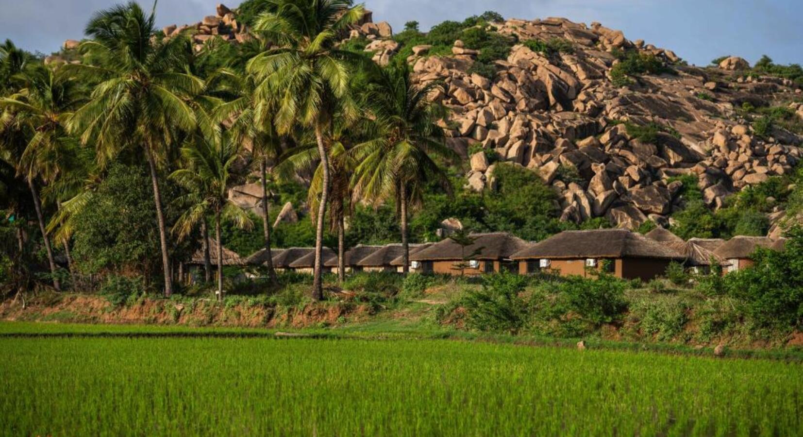 Exterior of Cottages