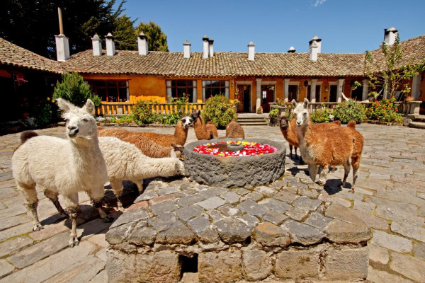 Hacienda San Augustin de Callo