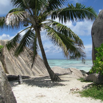 The Seychelles