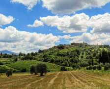 20 Best Hotels in Rural Tuscany