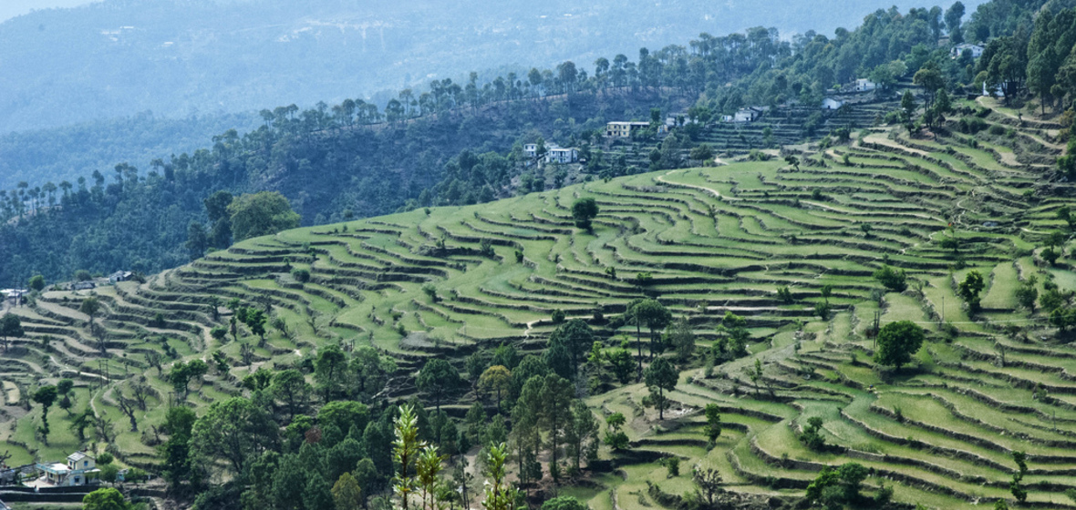 Photo of Almora