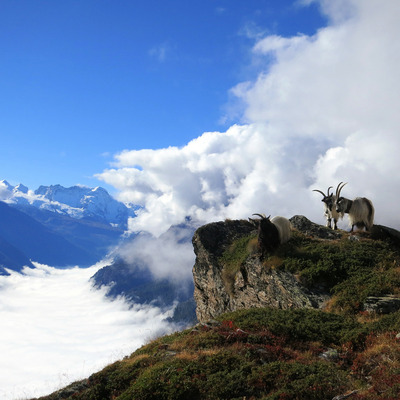 St Luc, Suiza