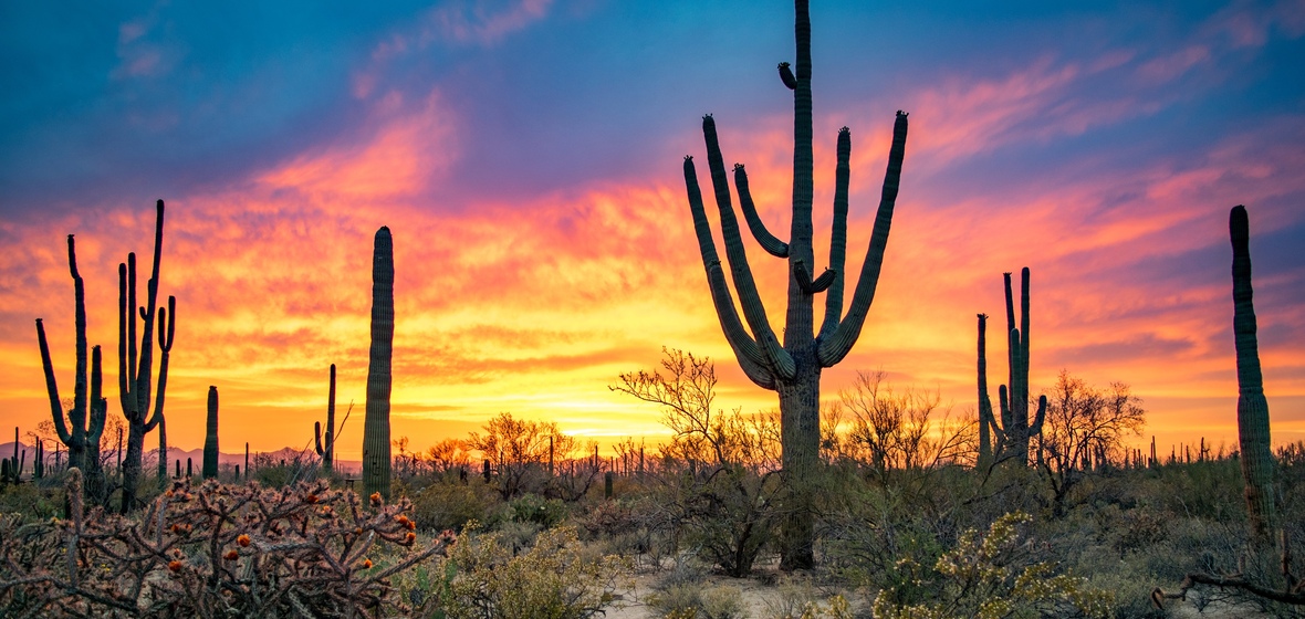 Foto de Tucson