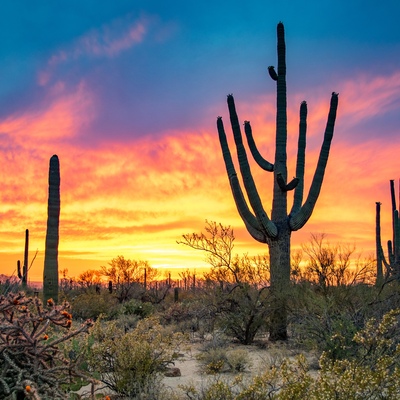 Tucson, Estados Unidos de América
