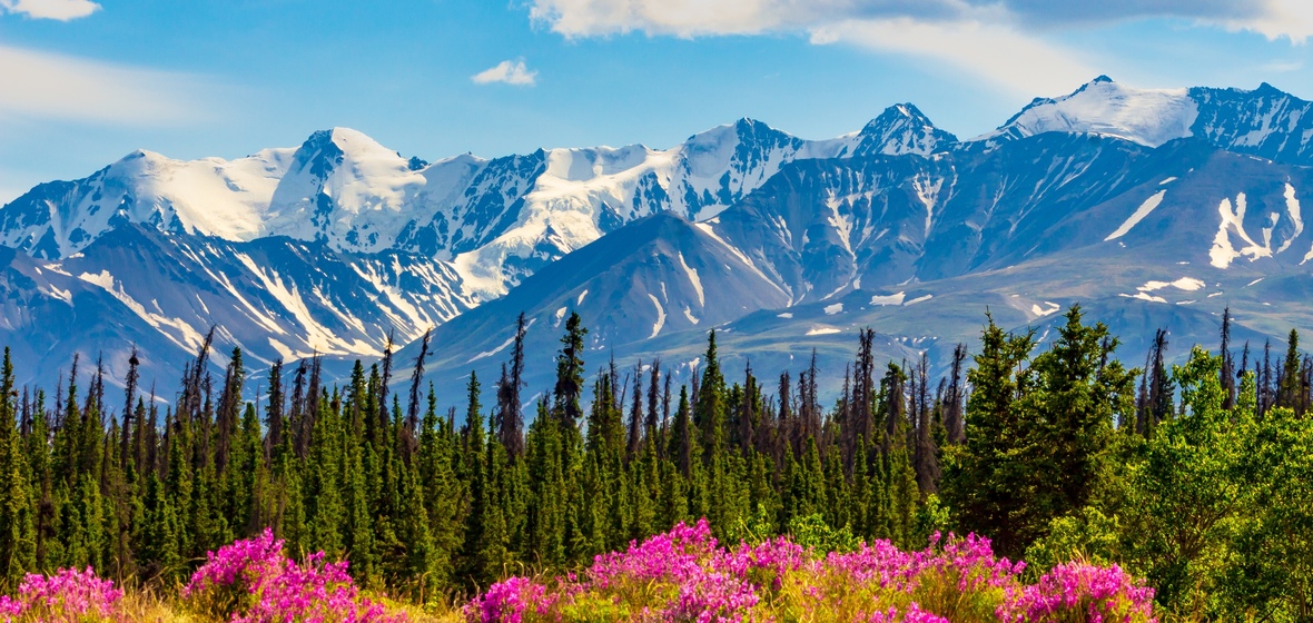 Photo of Yukon