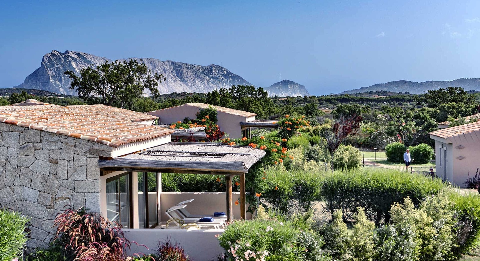 Exterior and Landscape