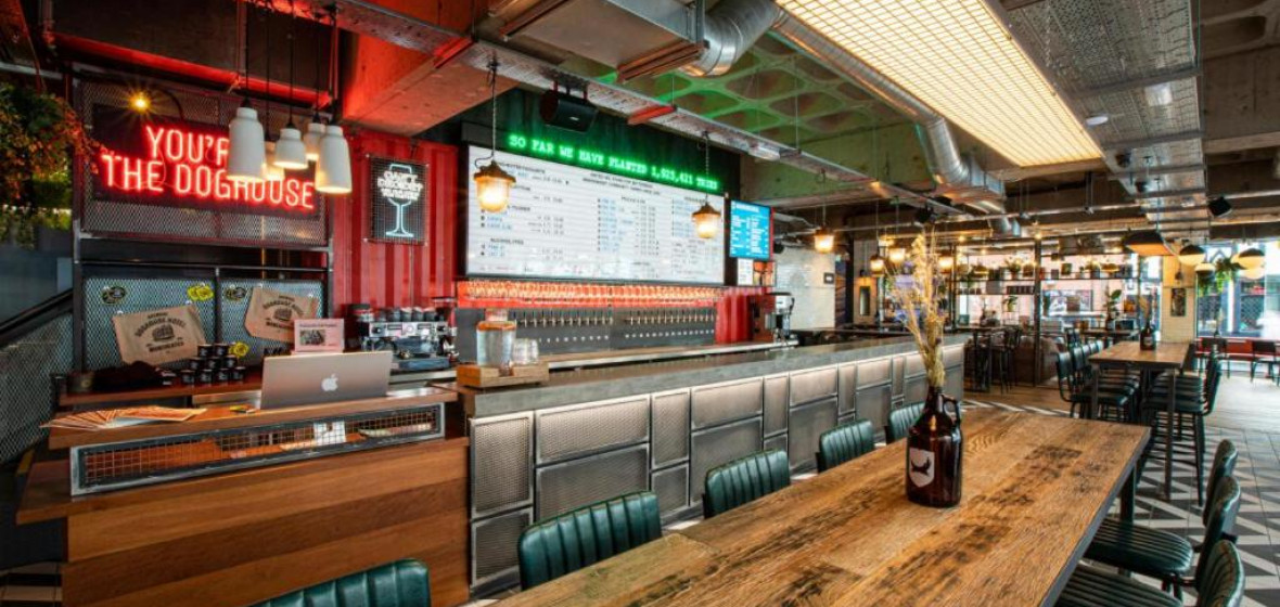 DogHouse Manchester, Manchester. Expert reviews and highlights The