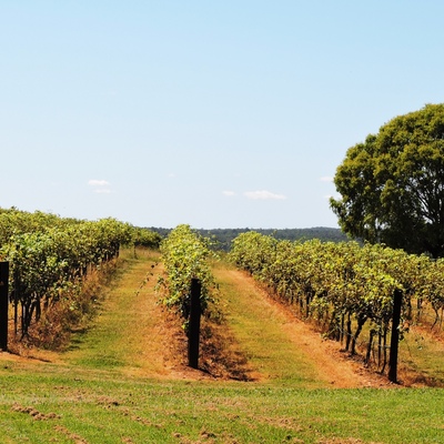 Pokolbin, Australie