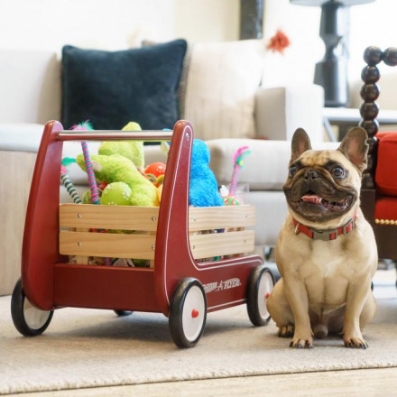 The 12 Best Pet Friendly Hotels in San Francisco