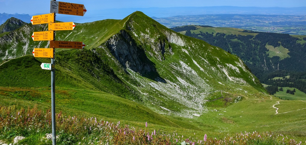 Photo of Fribourg Canton