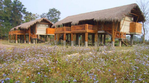 Diphlu River Lodge