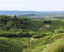 Le guide ultime des meilleurs hôtels à vins en Italie