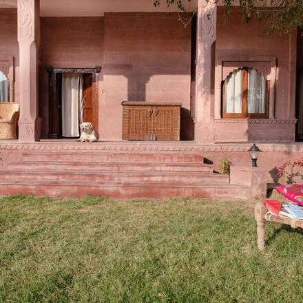 Sunlit Terrace and Garden 