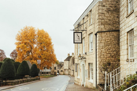 The Falcon Painswick