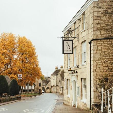 The Falcon Painswick
