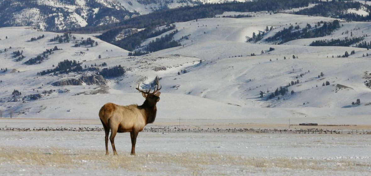 Photo of Jackson Hole
