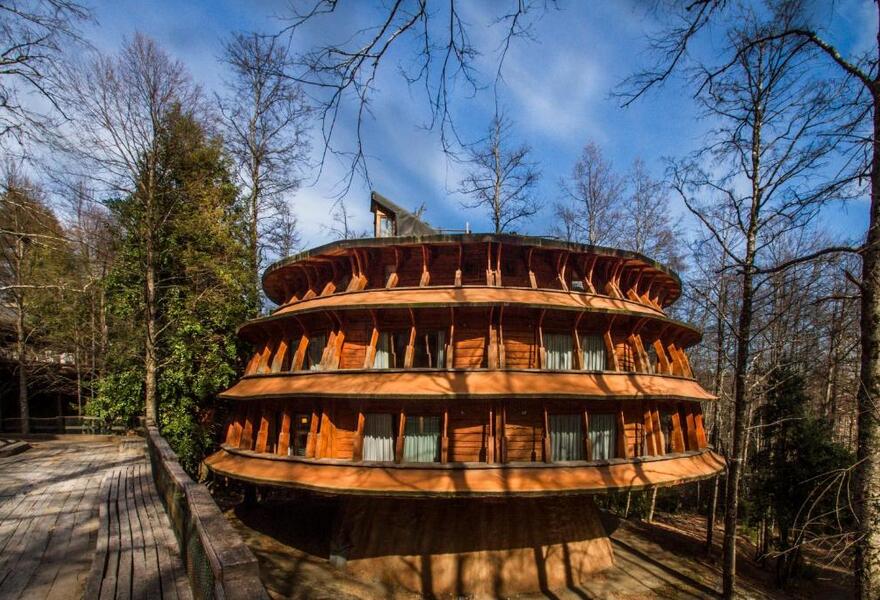 Reino Funghi Lodge