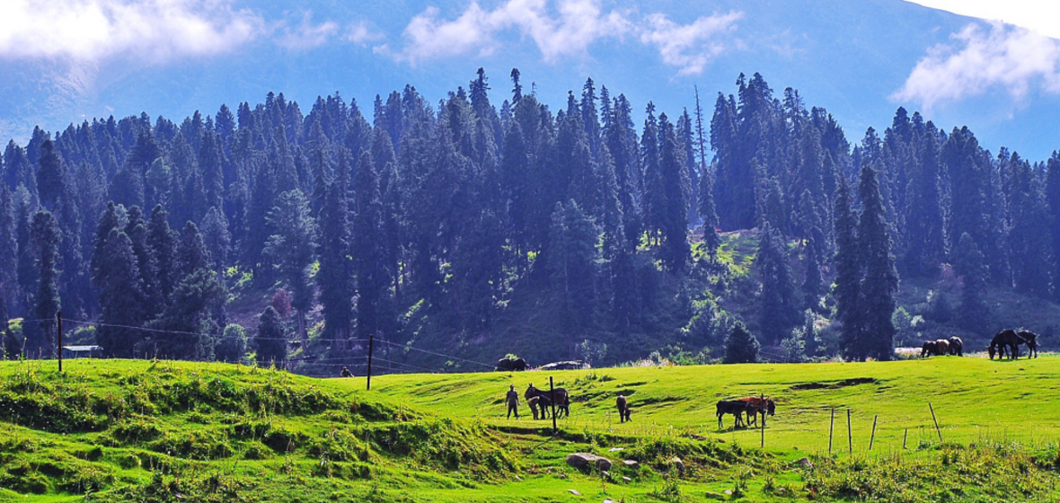 Photo of Gulmarg
