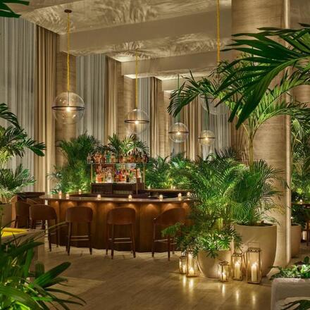 Top Hotels in Central Tampa