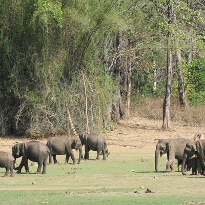 Río Kabini, India