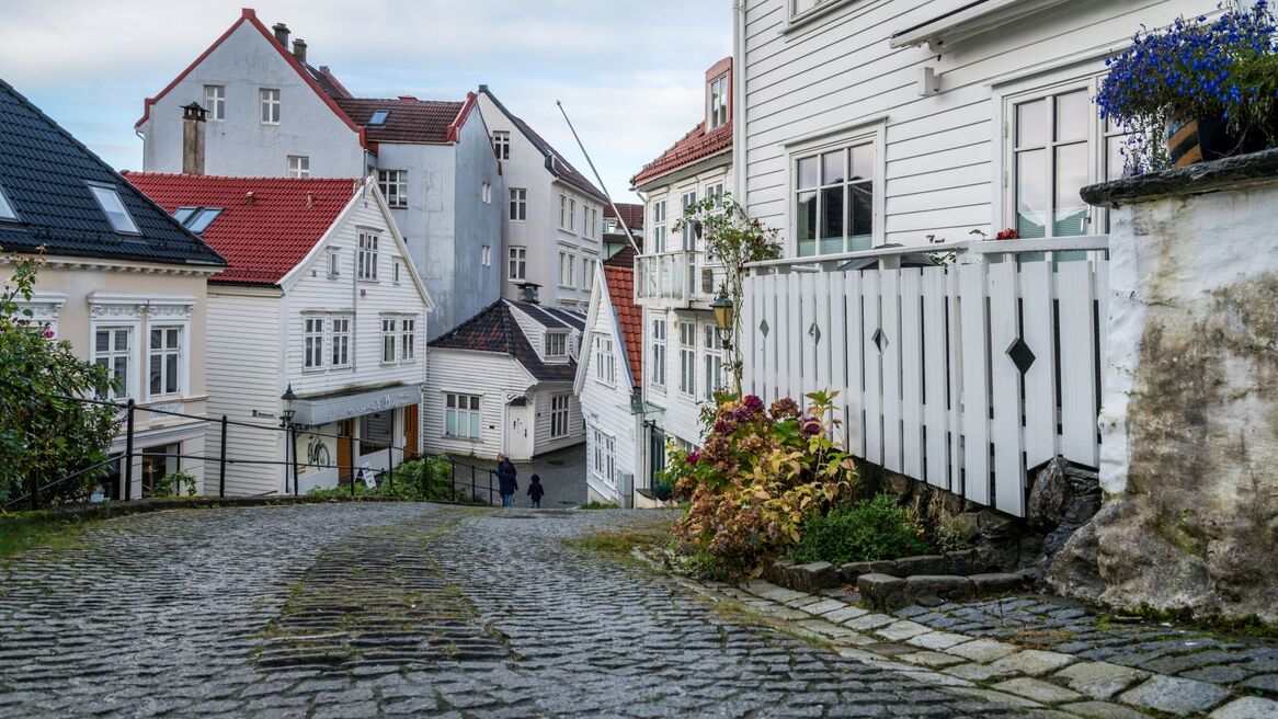 Skostredet