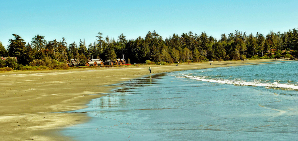 Best places to stay in Tofino, Canada The Hotel Guru
