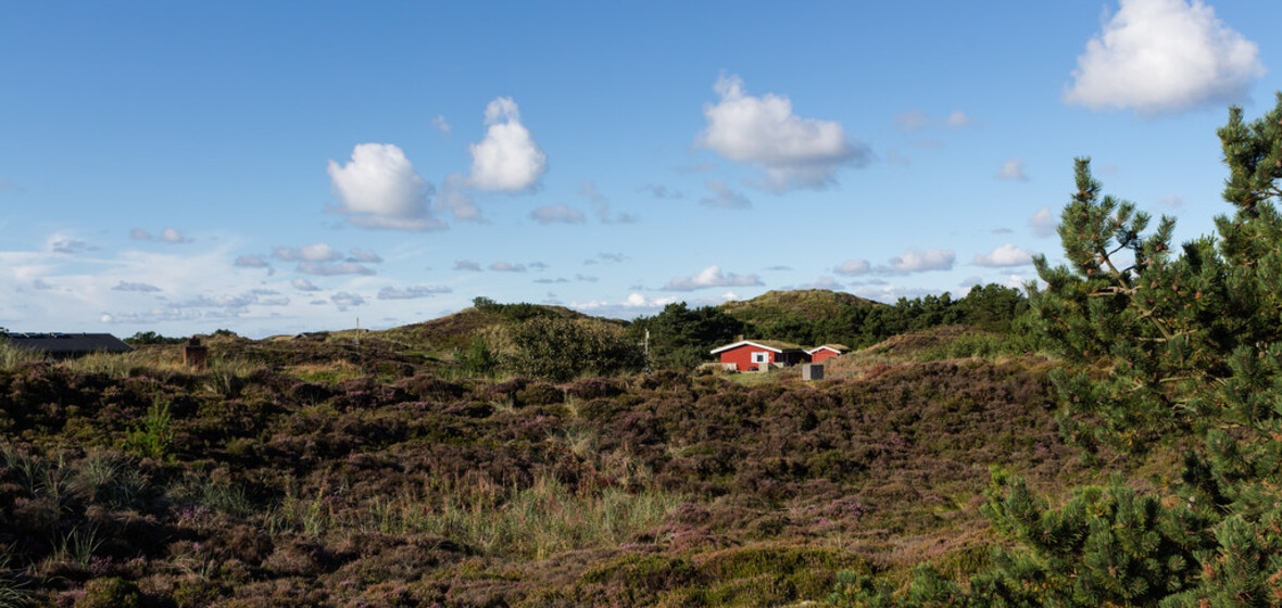 Photo of Henne