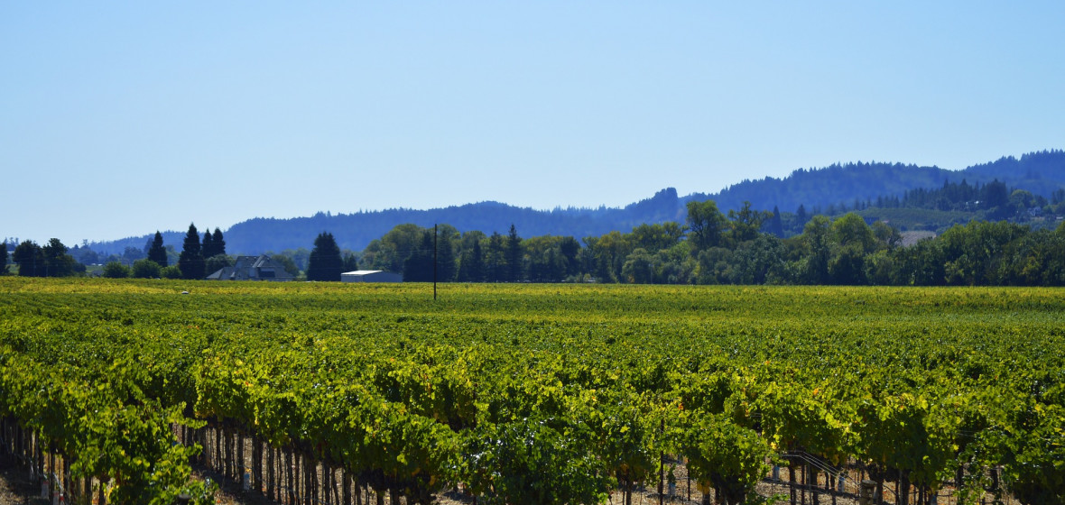 Best places to stay in Healdsburg, United States of America The Hotel Guru