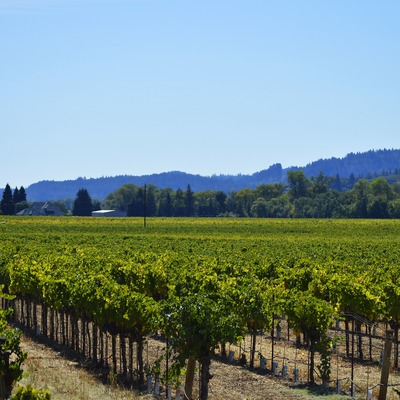 Healdsburg, Estados Unidos de América