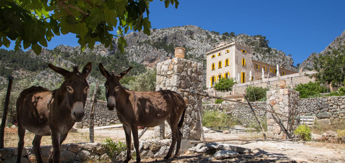 Alqueria Blanca, Mallorca Review | The Hotel Guru