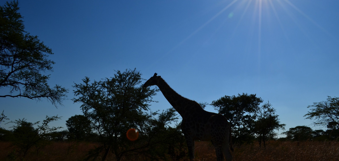 Best places to stay in Zimbabwe | The Hotel Guru