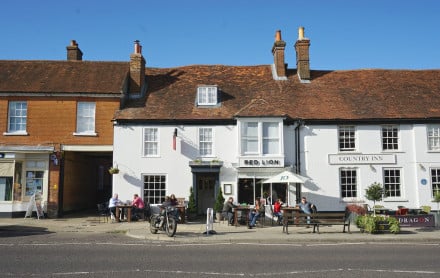 The Red Lion, Hampshire