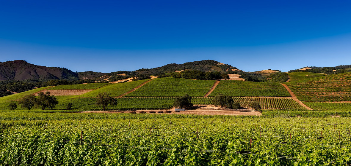 Photo of Napa