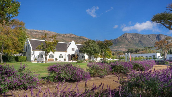 Steenberg Farm