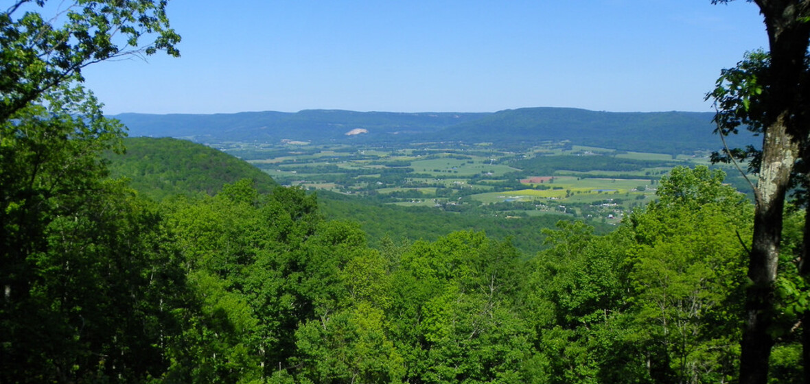 Foto von Tennessee