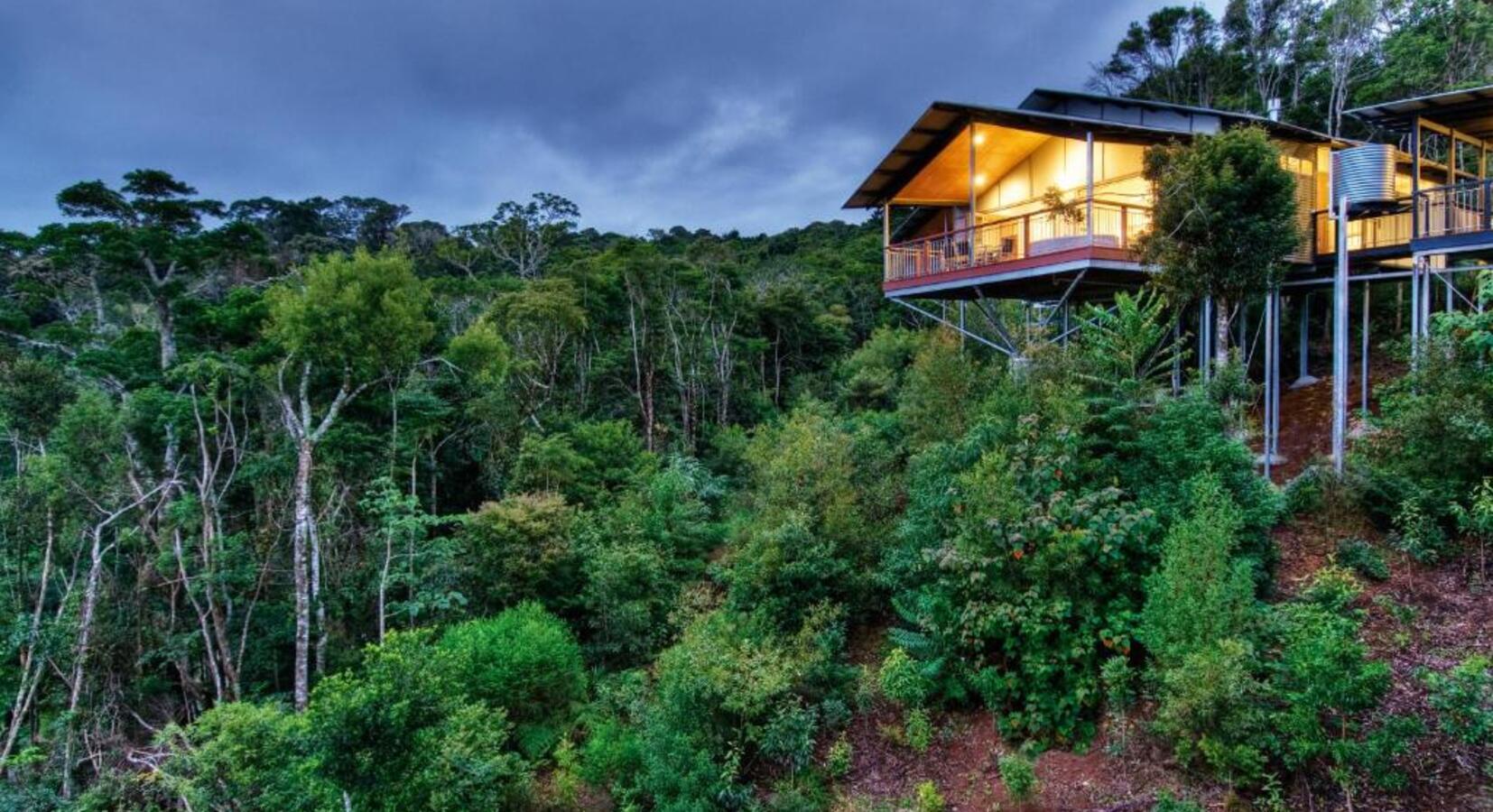 Foto von O'Reilly's Rainforest Retreat