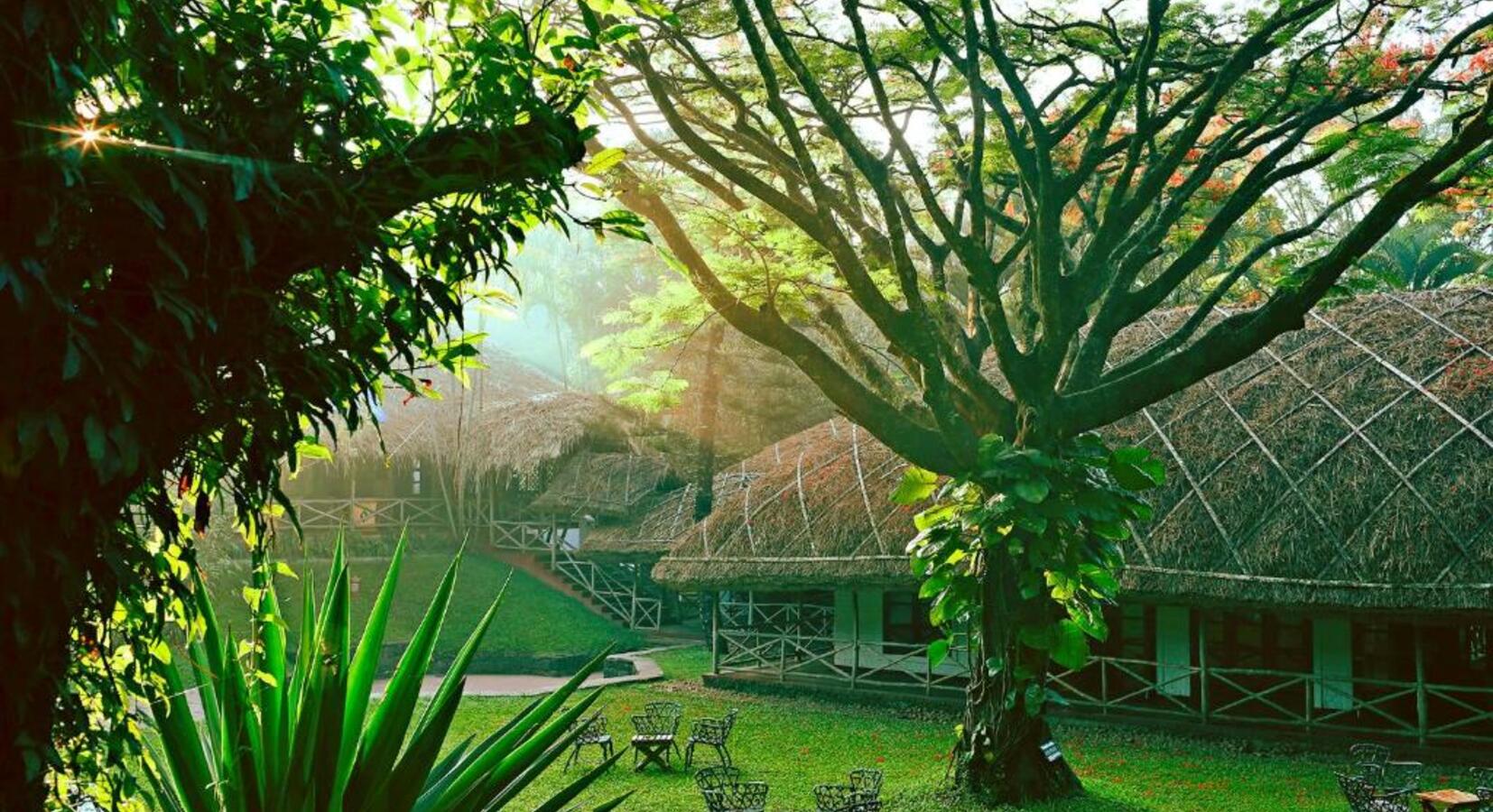 Gardens in the Sunlight 