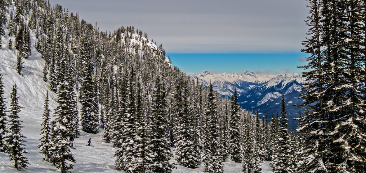 Photo of Kicking Horse