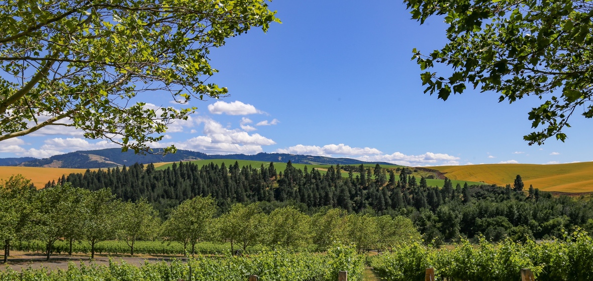 Photo of Walla Walla