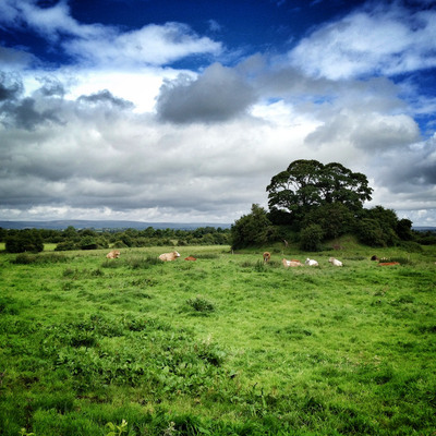 Condado de Laois, Irlanda