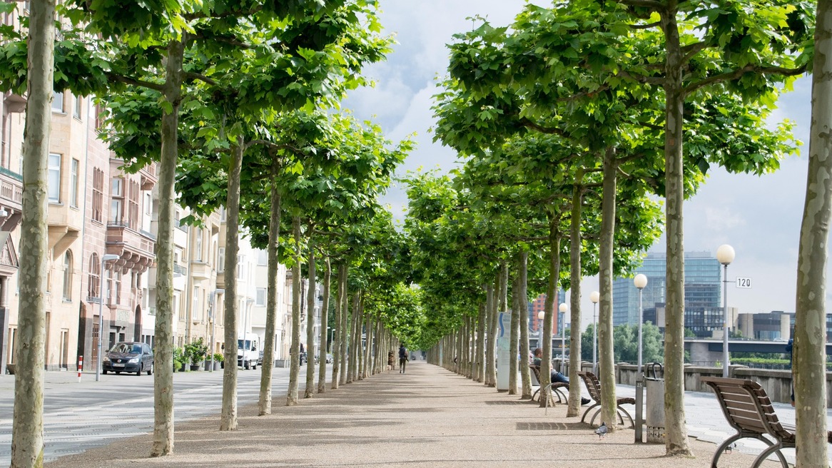 Where to Stay in Düsseldorf