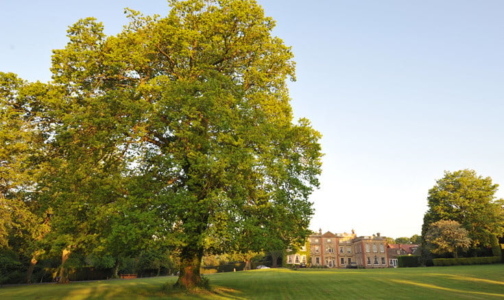 Photo of The Elms