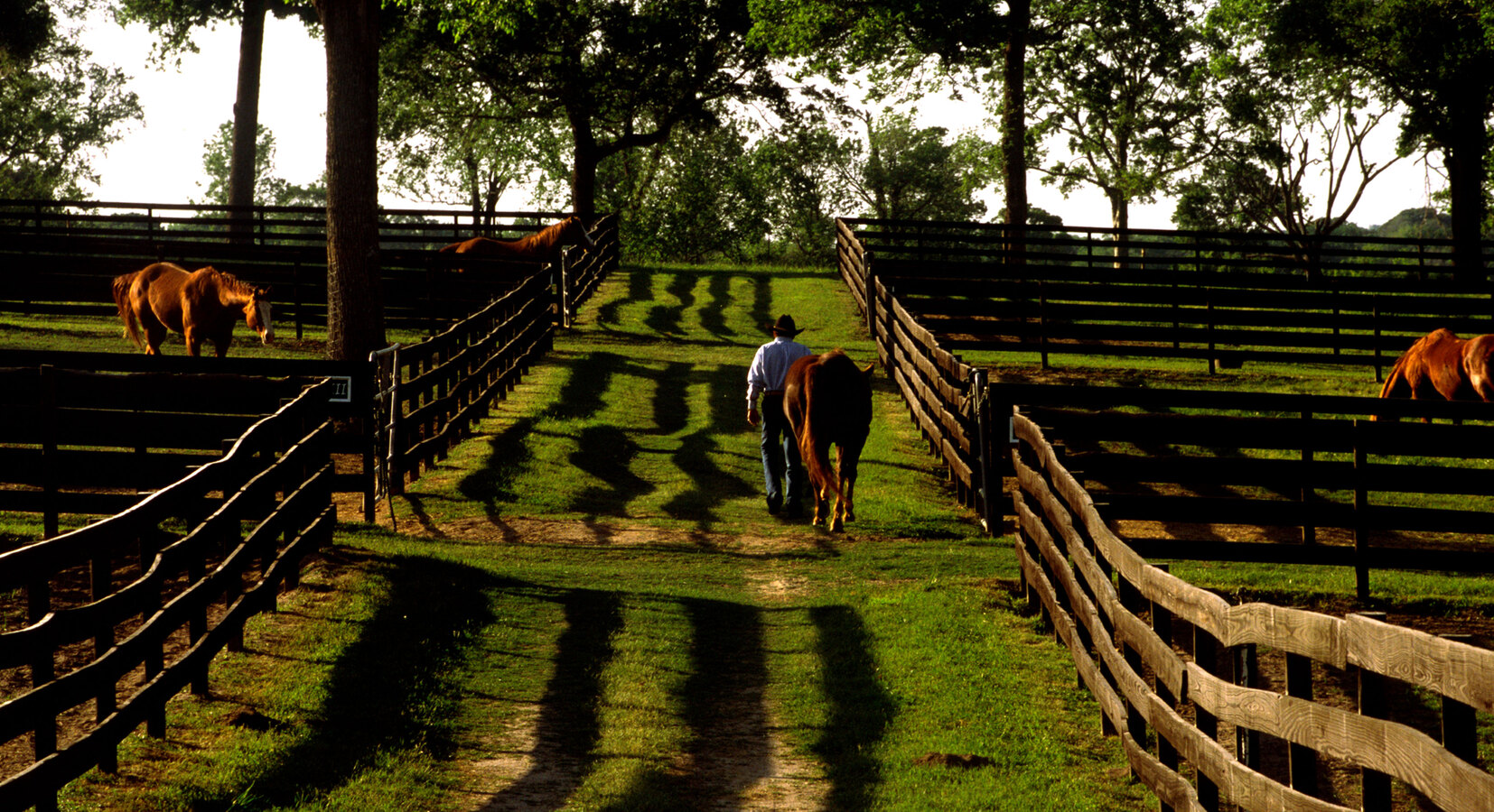 Foto von The Inn at Dos Brisas