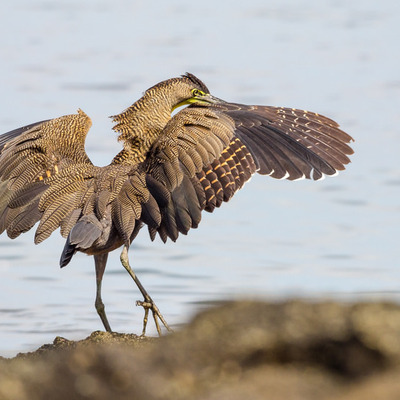 Guanacaste, Costa Rica
