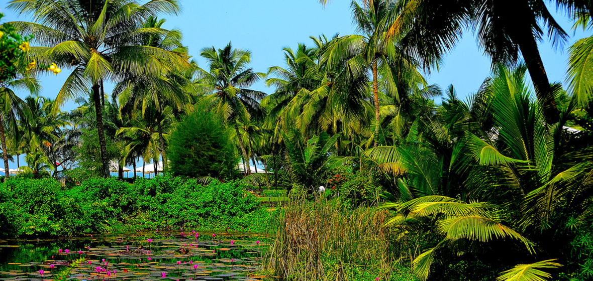 Photo of Goa  