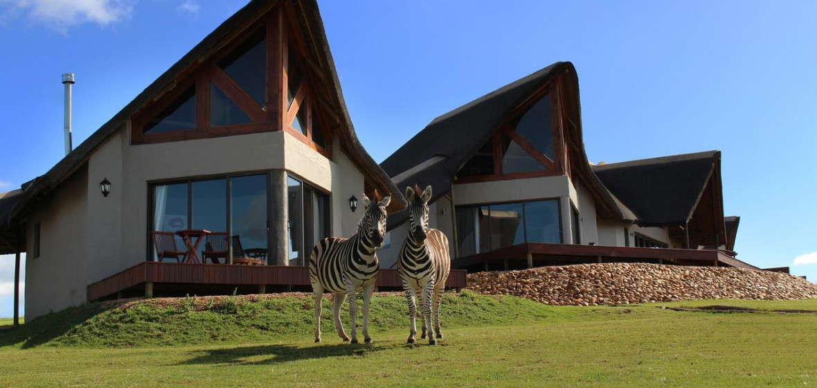 JBay Zebra Lodge , Eastern Cape Review The Hotel Guru